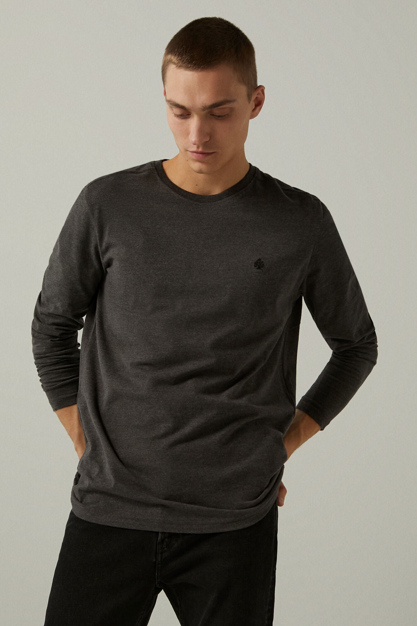 Basic t cheap shirts mens