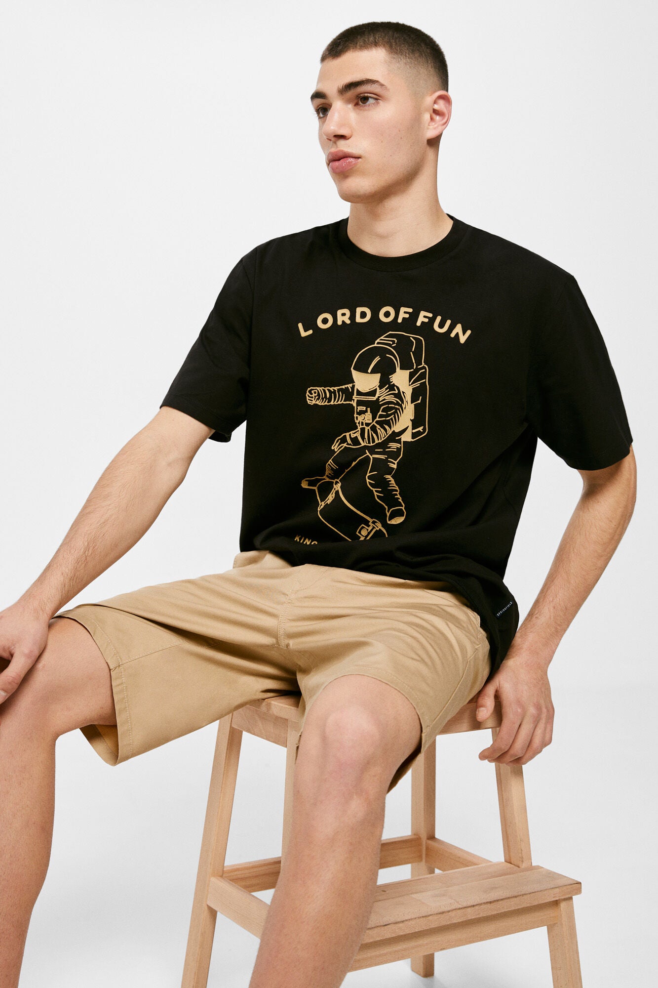 Lord of Fun T-shirt (Regular Fit)
