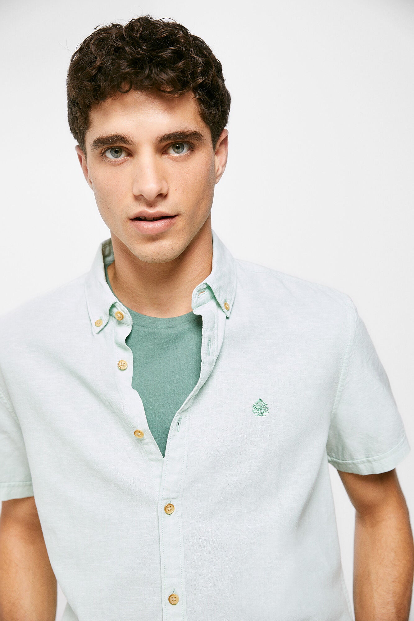 Linen Short Sleeve shirt (Regular Fit) - Green