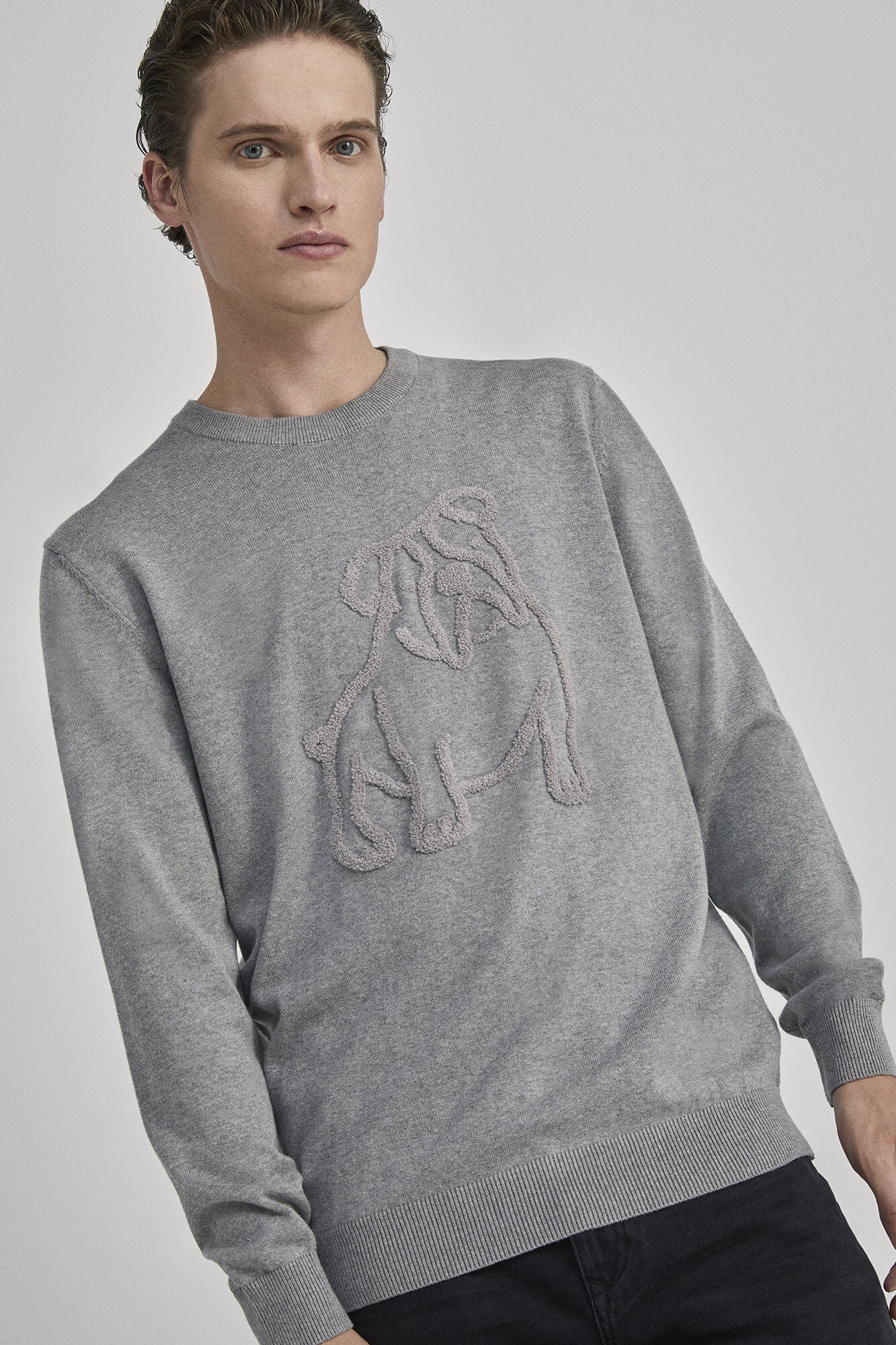 Jumper with dog embroidery