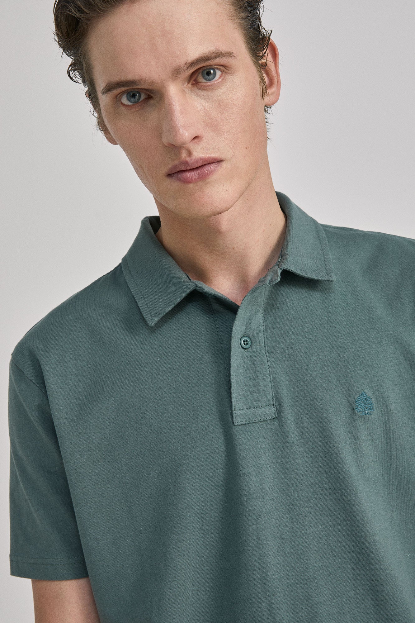 Colour comfort polo shirt (Regular Fit) - Green